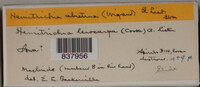 Image Associated With the Occurence